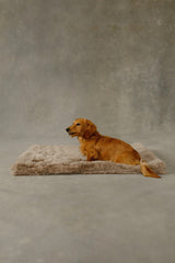 The Lola Pet Pad | Desert Dune