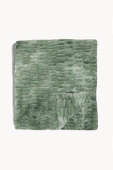 Lily Pad