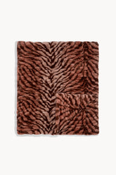 Terracotta Zebra