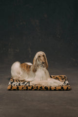 The Lola Pet Pad | Jungle Tiger
