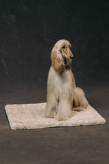 The Lola Pet Pad | Ivory Fawn