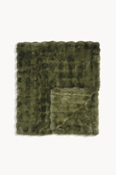 Fern Green