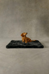 The Lola Pet Pad | Charcoal Grey