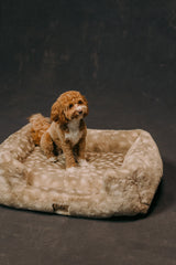 The Lola Pet Bed | Forest Fawn