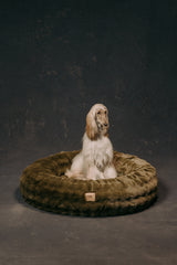 The Lola Bubble Pet Bed | Fern Green