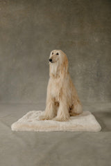 The Lola Pet Pad | Bondi Beige