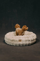 The Lola Bubble Pet Bed | Cappuccino