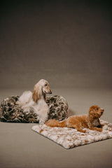The Lola Pet Pad | Birch Camo