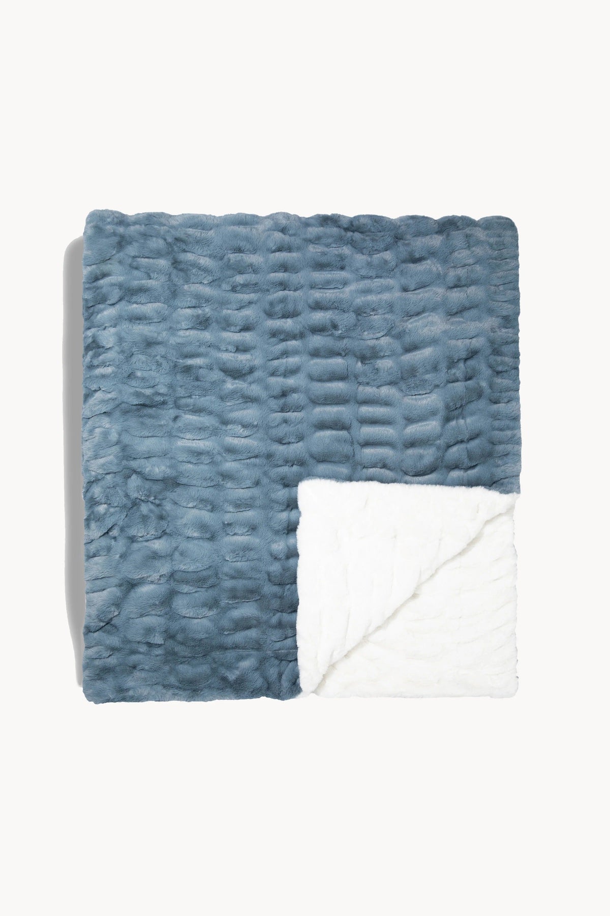 Shoreline Two-Tone