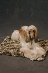 The Lola Pet Pad | Sagebrush Camo