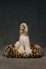 The Lola Pet Bed | Jungle Tiger