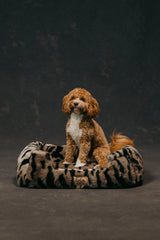 The Lola Pet Bed | Desert Tiger